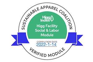 HIGG FACILITY SOCIAL & LABOR MODULE
